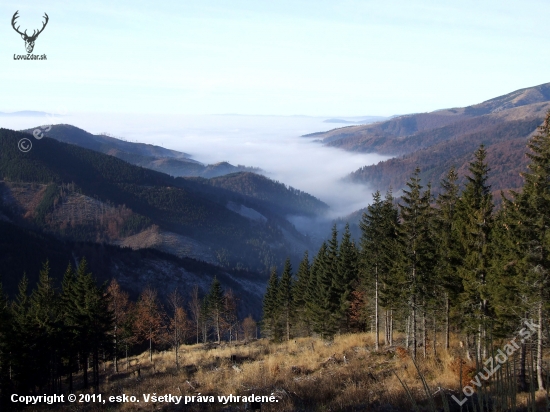 Novembrové rána