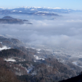 Inverzia