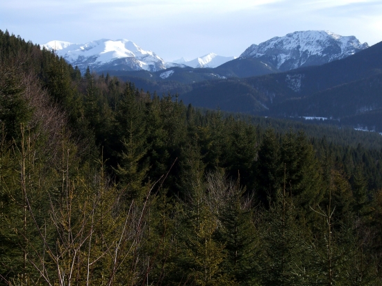 Potulky v okolí Oravíc