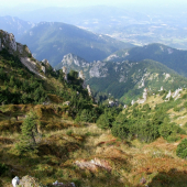 Skalné mesto