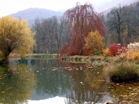 Jazierko na Baračke