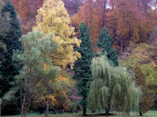 Jeseň pod Klepáčom