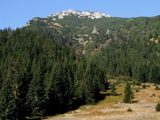 V Bobroveckej doline
