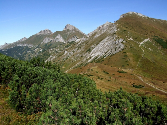 Havran a Ždiarska vidla
