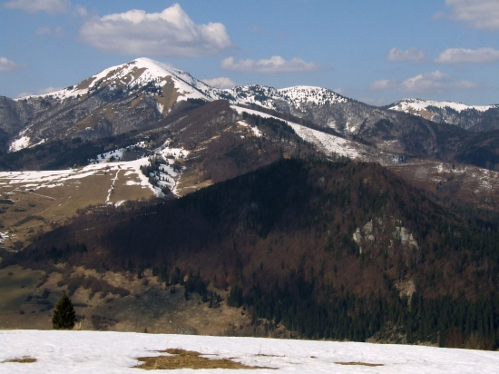 Vyhrievanie na jarnom slnku