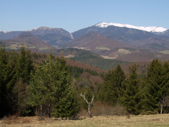 Jarné pohľady z Černochova