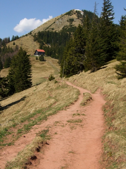 Borišov