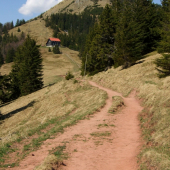 Borišov
