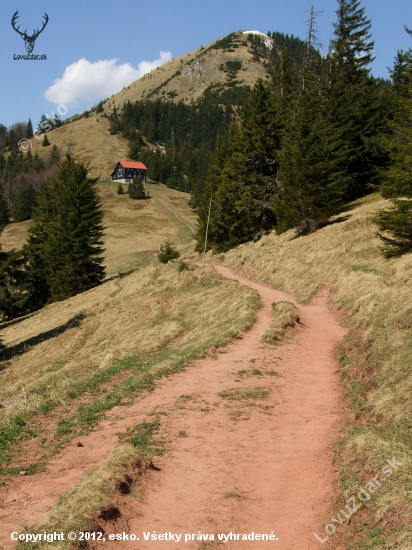 Borišov
