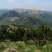 Pohľady z Rakytova
