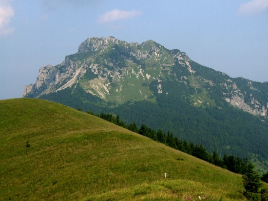 Rozsutec