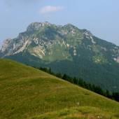 Rozsutec