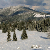 Zimné pohľady z Bukoviny