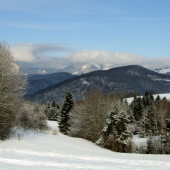 Prechádzka zasneženými lúkami