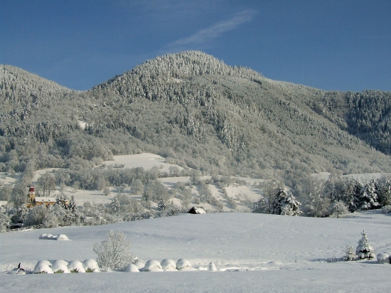 Vysoká