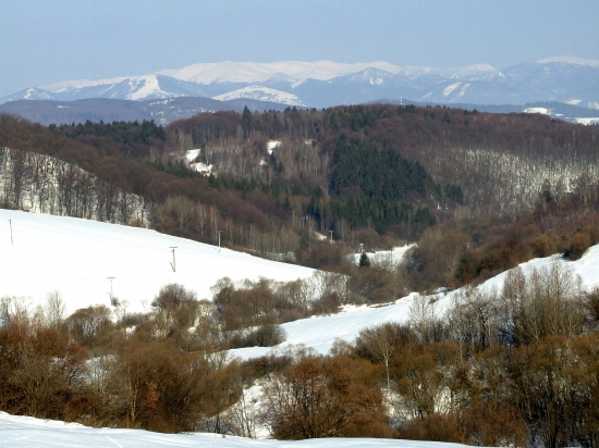 V Hrochotskom chotári