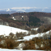 V Hrochotskom chotári