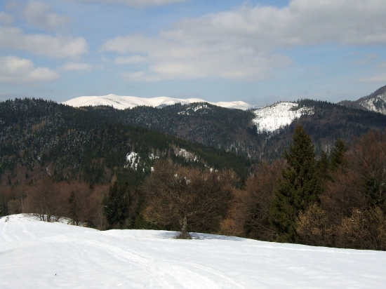 Selčianský diel