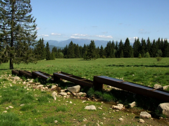 Bukovina