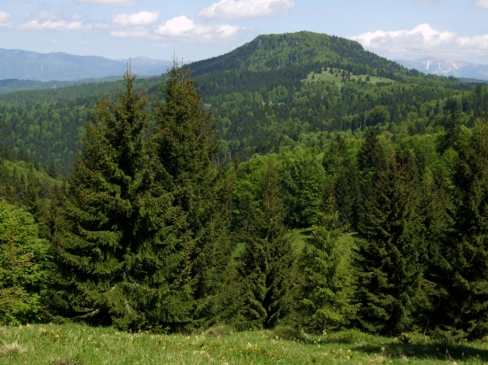 Ľubietovský Vepor