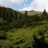 Pod Kráľovou hoľou