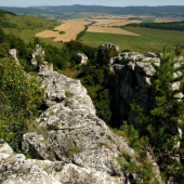 Dreveník