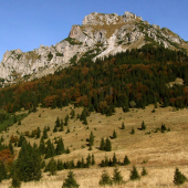 Jeseň pod Rozsutcom