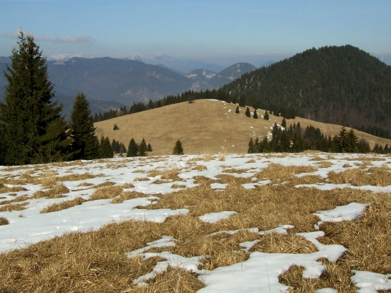 Z Veľkého Brankova