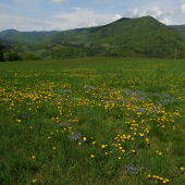 Okolo Dúbravy