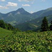 V sedle Príslop