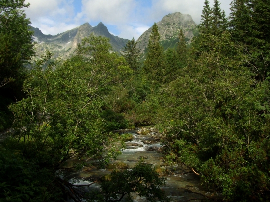 Dolina Zeleného plesa