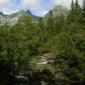 Dolina Zeleného plesa