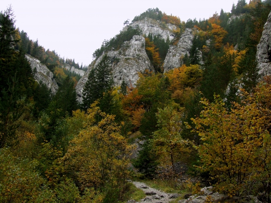 Jesenná