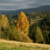 V Hutnej doline