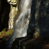 Dúha