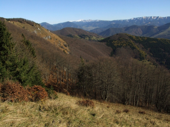 Z pod Rakytova