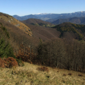 Z pod Rakytova