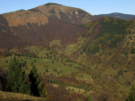 Rakytov