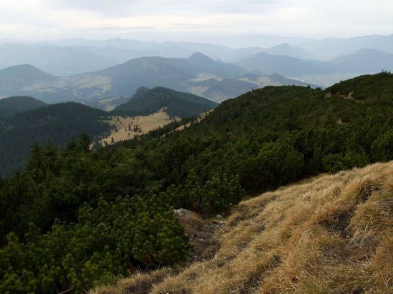 Z Choča