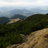 Z Choča