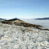 V kráľovstve hôr