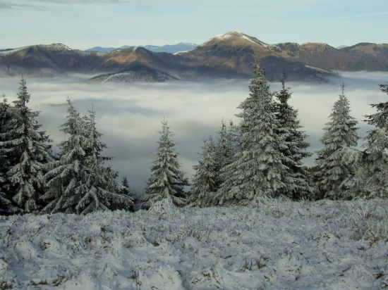 Ešte jeden pohľad na Rakytov