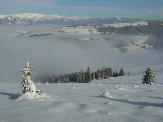 Balocká zima