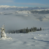 Balocká zima