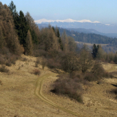 Pod Vyšehradom