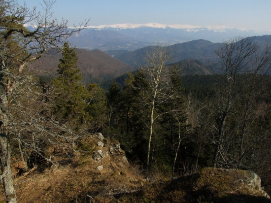 Z Vysokej