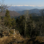 Z Vysokej