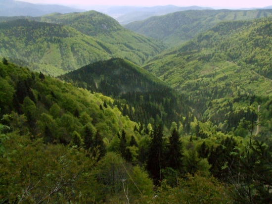 Hrdzavá dolina