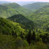 Hrdzavá dolina