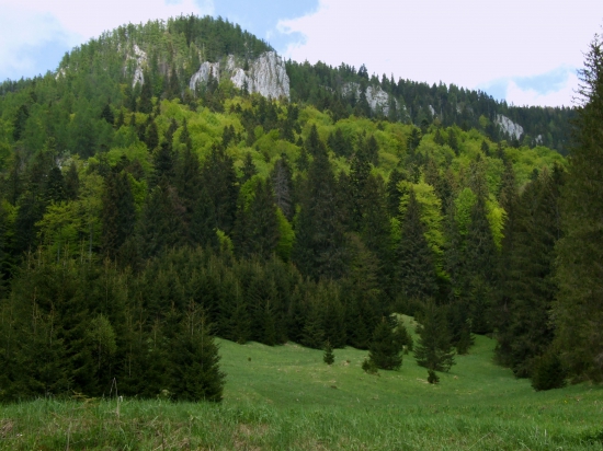 Pod Veľkou Stožkou